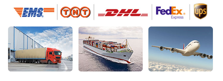 Qc11k-6x2500 Metal Guillotine Shear Guillotine Shearing Machine Cesoia a ghigliottina a ghigliottina per metallo Qc11k-6x2500