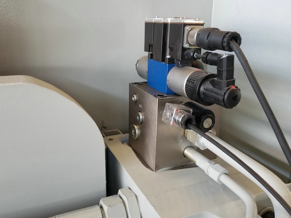 Wc67k 100 tonnellate Macchina idraulica del freno della pressa di CNC da 200 tonnellate per il piatto d'acciaio del metallo del ferro